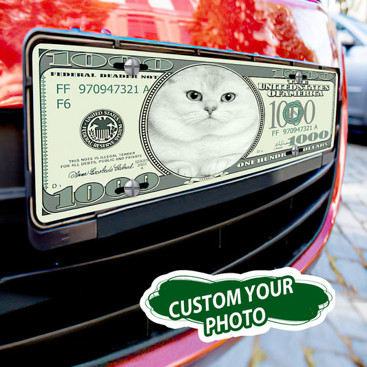 Custom photo license plate featuring a cat image on a $100 bill design, mounted on a red car