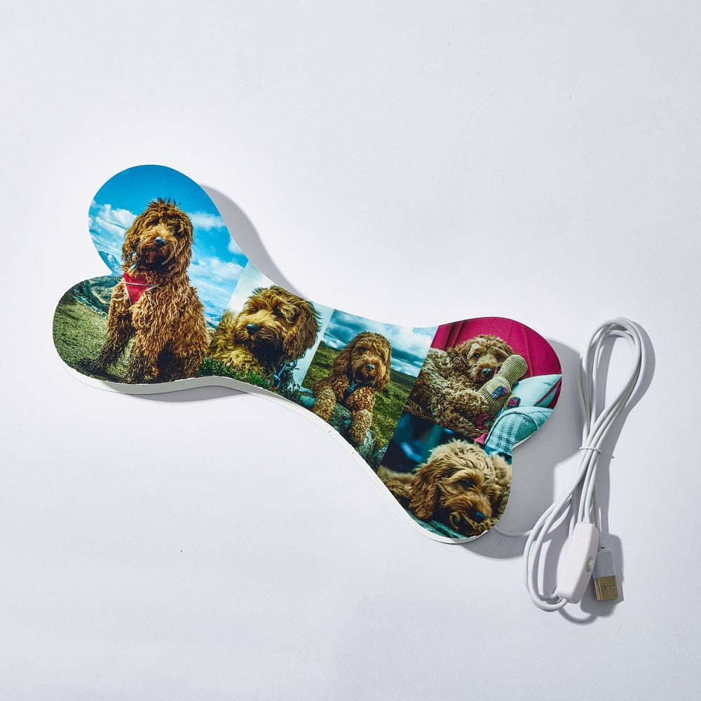 Personalized bone night light with 5 dog photos, warm LED, USB powered