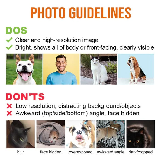 Pet memorial stone photo guidelines: dog and cat image examples. Dos and don'ts for clear pet memorial gifts.